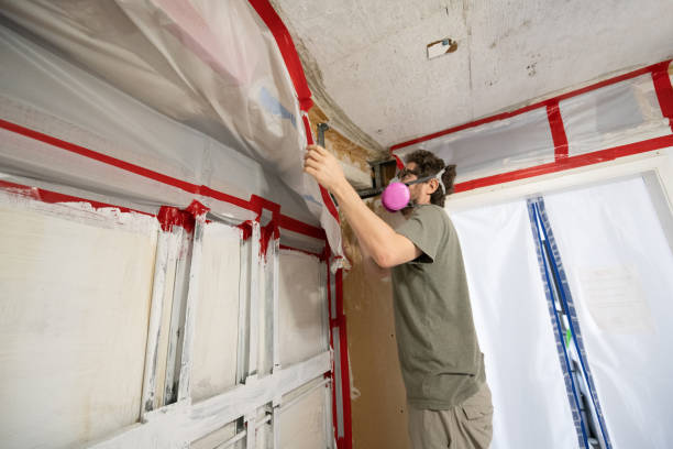 Asbestos and Lead Testing During Mold Inspection in East Lake, FL